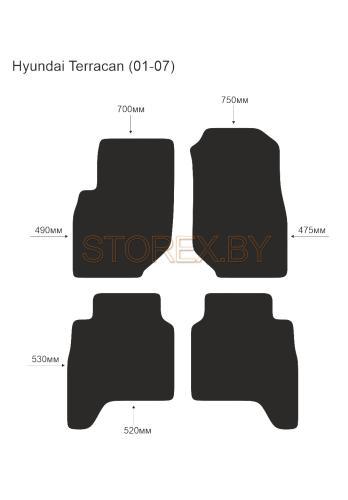 Hyundai Terracan (01-07) copy