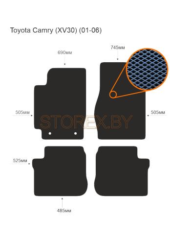 Toyota Camry (XV30) (01-06) copy