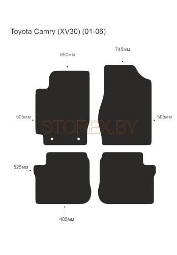 Toyota Camry (XV30) (01-06) copy