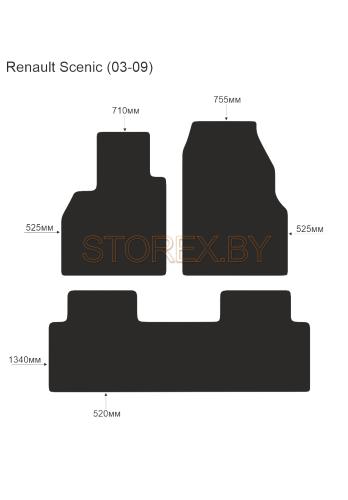 Renault Scenic (03-09) copy