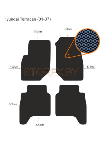 Hyundai Terracan (01-07) copy